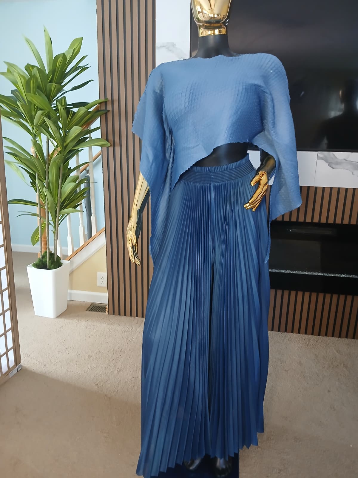 WhatsApp Image 2026-07-31 at 6.08.57 AM (2) Chic Pleated Asymmetric Two-Piece Set